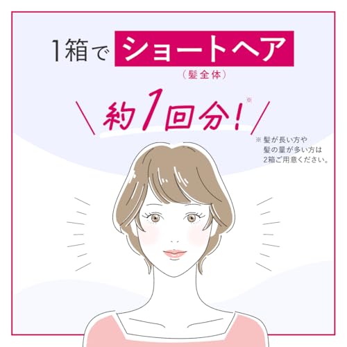 ホーユー ビューティーン プレックスブリーチ+C12:D65 髪 ハイブリーチ ブリーチ剤 プレックステクノロジー (ブリーチ ヘアカラー) (医薬部外品)