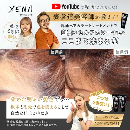 PROSIA(プロシア) 馬油 ヘアカラートリートメント ナチュラルブラック 日本製 白髪 染める 180g 保湿成分 無添加処方 うねりケア成分配合 アイメディア