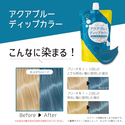 【圧倒的コスパ】Tottimo! ディップカラーアクアブルー カラートリートメント 500g カラーバター