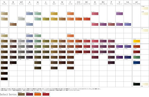 ホーユー プロマスターEX ピグメント V-8p 80g [医薬部外品]